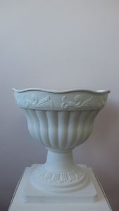 6oWeBCg6qDM