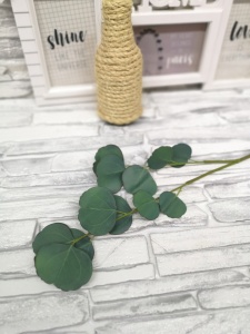 nKF__4P3LEI